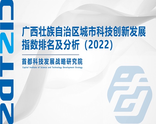 草女生b的视频【成果发布】广西壮族自治区城市科技创新发展指数排名及分析（2022）